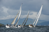whyw13 tue 2449